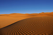 Dünenlandschaft