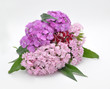 Bouquet of Flowers