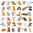 Big vector cartoon animal set #2
