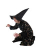 Wizard