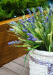 basket of lavender basket of lavender