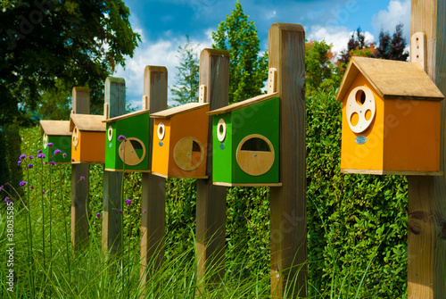 Photo: colorful birdhouses colorful birdhouses