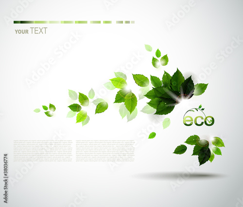 Vector: branch with fresh green leaves branch with fresh green leaves
