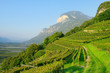 Trentino 03