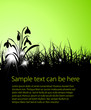 Spring vector grass background