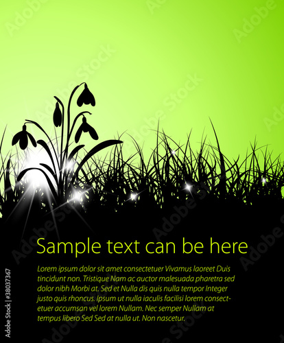 Vector: Spring vector grass background Spring vector grass background