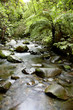 Stream