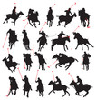 20 details polo player in isolated silhouette