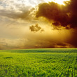 dramatic sunset over green field dramatic sunset over green field