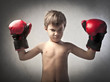 Photo: Boxer Boxer
