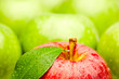 Fresh apples