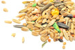 Rodent Food Mix of Grains and Seeds Close-Up