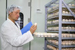 Photo: Farmer controls chicken eggs in incubator Farmer controls chicken eggs in incubator