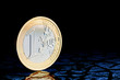 Euro