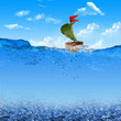 Nutshell ship with green leaf sail