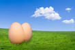 Two free-range egg on green grass against a blue sky