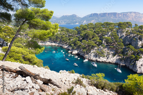 Photo: Calanques of Port Pin in Cassis Calanques of Port Pin in Cassis