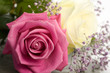Roses with gypsophila