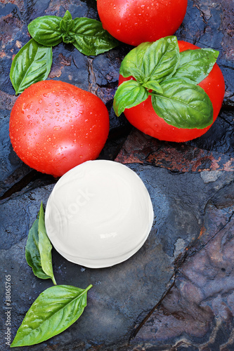 Photo: Fresh Caprese Salad Ingredients Fresh Caprese Salad Ingredients