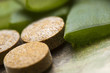aloe vera plant with pills - herbal medicine aloe vera plant with pills - herbal medicine