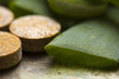 aloe vera plant with pills - herbal medicine aloe vera plant with pills - herbal medicine