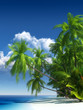 Tropical beach paradise