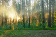 beautiful sunset