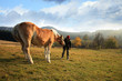 The child and his friends horse