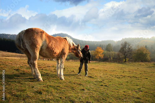 Photo: The child and his friends horse The child and his friends horse