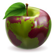 Vector: Apple world globe Apple world globe