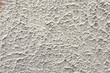 Background from high detailed fragment stone wall Background from high detailed fragment stone wall