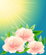 Abstract pink flowers in the sky and the sun.
