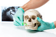 Foto: Dentist showing how to clean teeth with toothbrush. Dentist showing how to clean teeth with toothbrush.