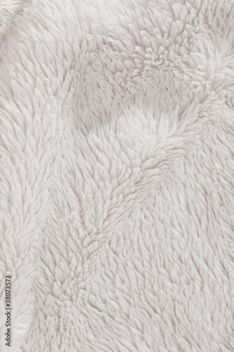 Photo: High Resolution fur furry white textured background High Resolution fur furry white textured background