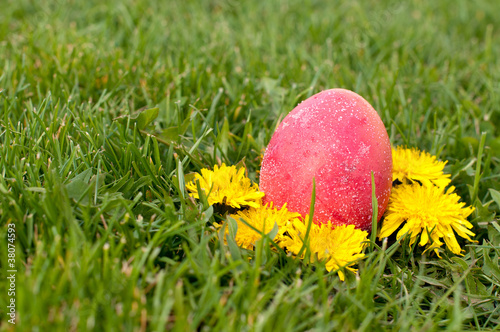 Photo: Easter eggs hunt Easter eggs hunt