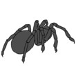 Tattoo of black widow isolated on white background.