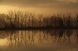lumière hivernale