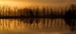 soleil d'hiver