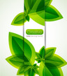 Nature abstract background Nature abstract background