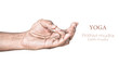 Yoga Prithivi mudra