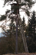 A Shooting Lodge for Hunters