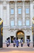Royal Guard