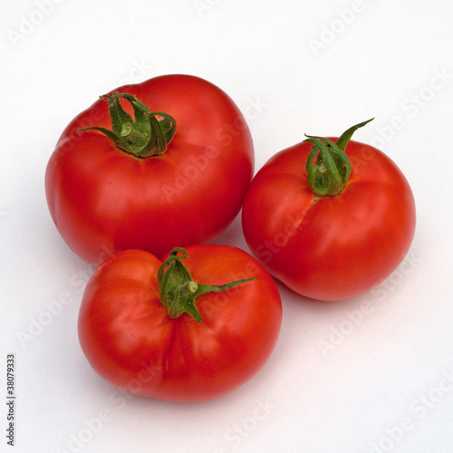 Photo: Fleischtomaten Fleischtomaten
