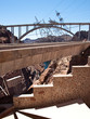 Escher Architekt beim Hoover Dam Escher Architekt beim Hoover Dam