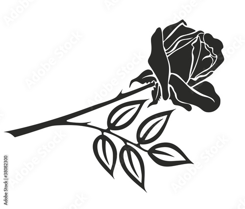Vektor: Rose 34 t Rose 34 t