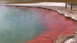 Champagne pools 2 - Wai O Tapu