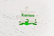 Karriere Schriftzug