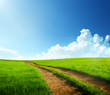 ground road and sunny day