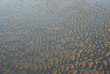 MARE