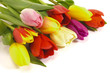 Tulpen Blumenstrauß
